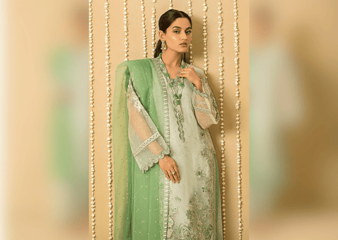 Embroidered Organza Pakistani Salwar Kameez and Dupatta