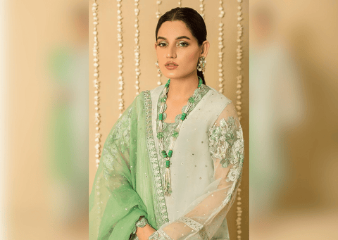 Embroidered Organza Pakistani Salwar Kameez and Dupatta